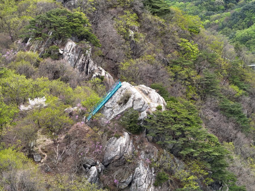 보도 사진(2).JPG