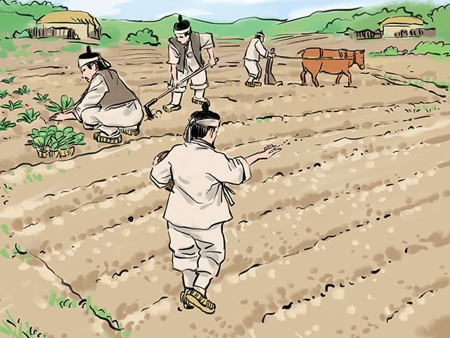 사진3. 밭작물을 파종하는 모습(출처-스토리테마파크).jpg