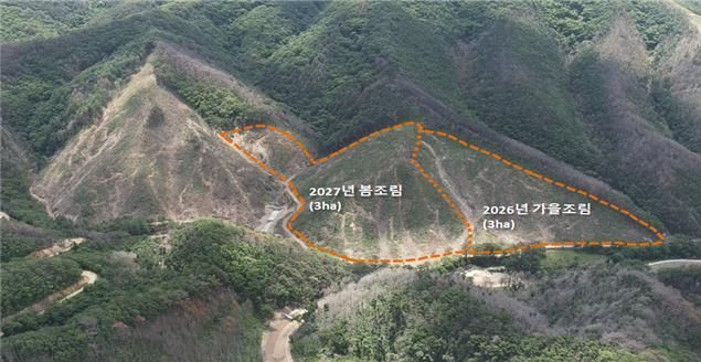 보도사진(공동산림사업 추진 예정 대상지).jpg