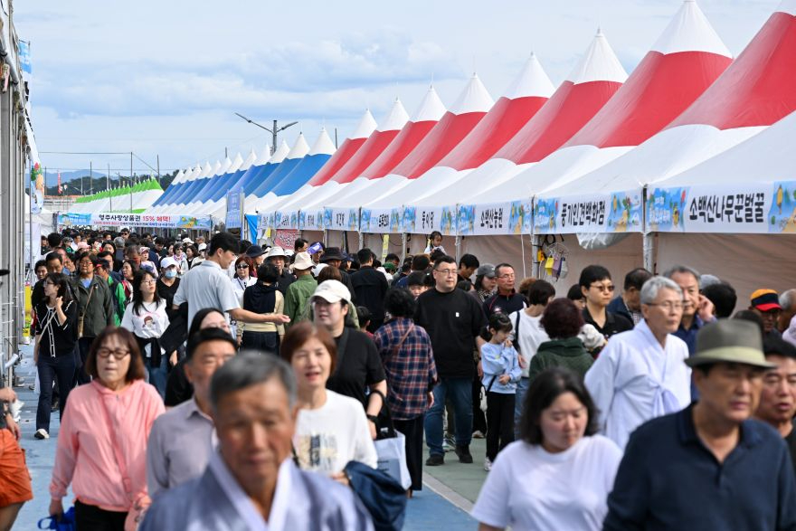 영주-1-1 풍기인삼축제, 관광객 발길 이어지며 축제장 ‘북적’(축제장 방문객들로 붐비는 모습).jpg