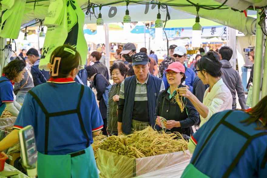 영주-1-8 2026영주 풍기인삼축제 9일간 여정 마무리(인삼을 구입하는 방문객들).jpg
