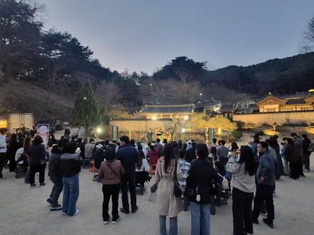 봄밤의 매화 향기와 함께한 10일간의 여정안동시 ‘2026 도산서원 야간개장’ 성료