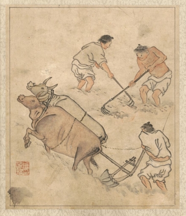 곡우의 봄비, 밥상에 스며들다