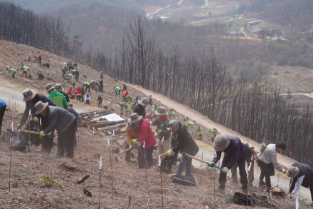 산림청, 안동 산불 피해지서 ‘제2의 산림녹화’ 첫걸음