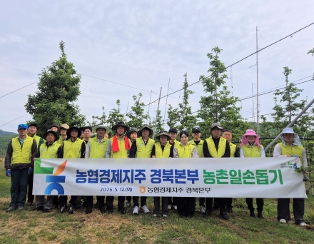 “일손 부족 농가에 희망을”... 경북농협, 의성서 사과 적과 일손 돕기