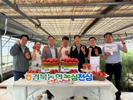 경북농협, 청년·선도농가 손잡고 ‘무농약 토마토’ 라이브커머스 띄운다