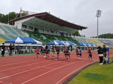 결승선 향한 뜨거운 질주… 안동 학생들, 교육장배 마라톤서 땀의 레이스