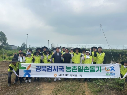 경북검사국, 농심천심운동으로 포도농가 일손 지원