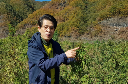 황금 씨앗 삼씨(Hemp seed)! 수천년의 침묵을 깨고 인류의 미래를 구원할 신의 선물이다