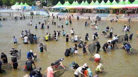 “낮에는 손맛, 밤에는 물벼락!”… 은어에 푹 빠진 봉화의 여름