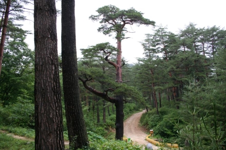 미래 세대에 물려줄 ‘초록 보물창고’… 남부지방산림청, 산림유전자원보호구역 전방위 사수 나선다