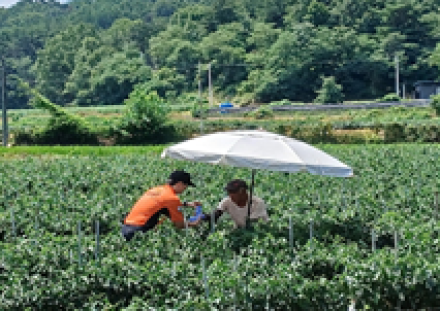 경북 ‘가마솥더위’에 숨 막혔다… 경주 최고 39.2℃, 누적 온열질환자 182명