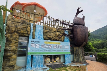 책장 넘기자 피어난 나비의 날갯짓… 예천서 이어지는 곤충 페스티벌의 여운