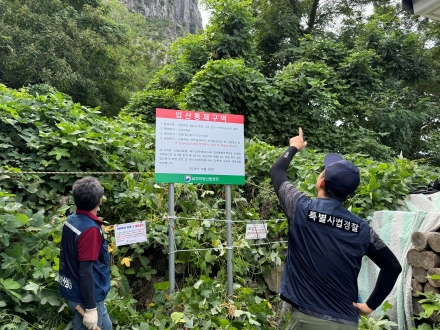 버섯·약초 노린 싹쓸이 채취꾼 잡는다… 남부산림청, 드론 띄워 가을 산림 집중단속