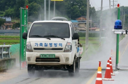 예천 한우농가 구제역 추가 확진…경북도 총력 대응